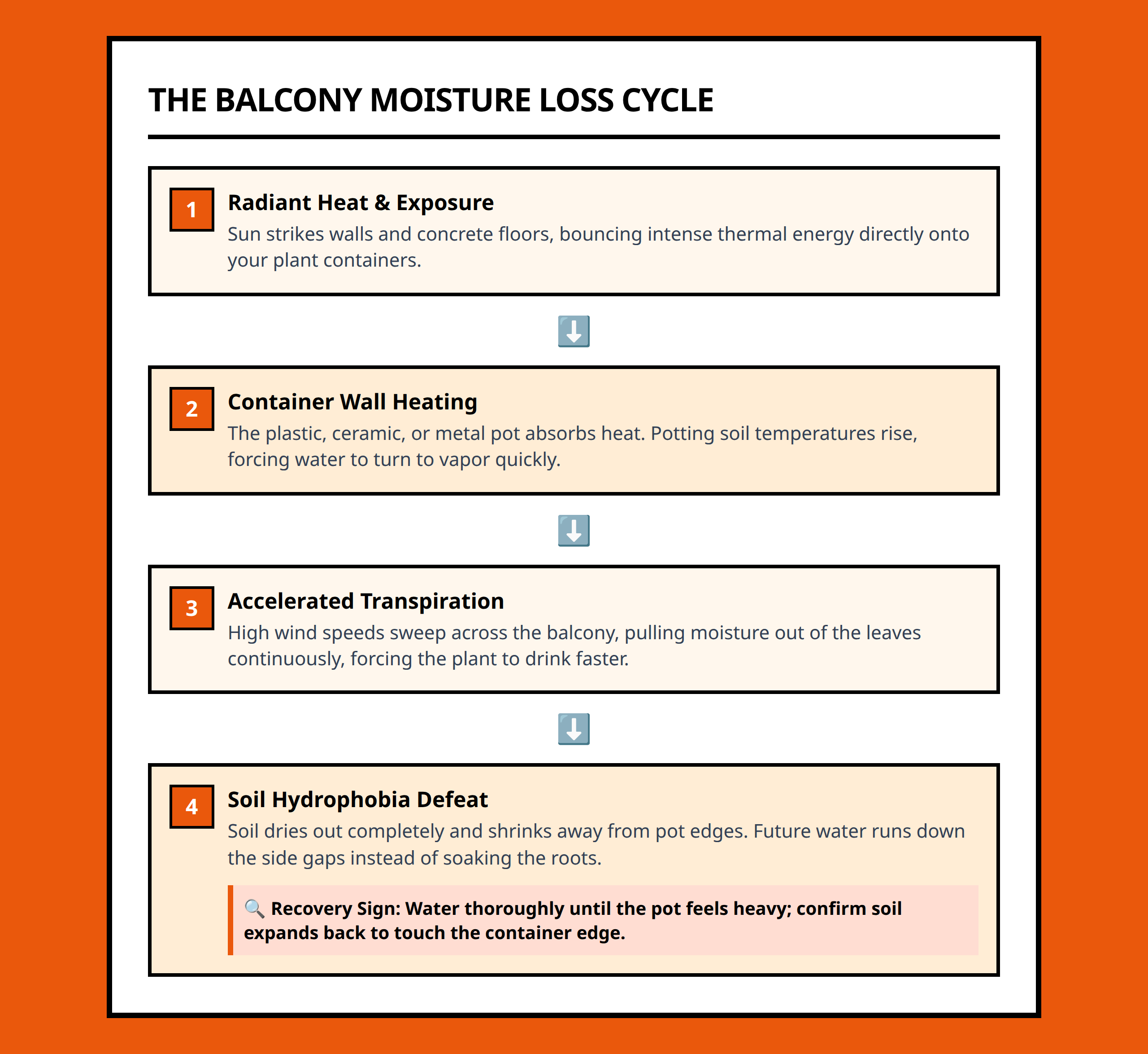 Flowchart displaying the fast moisture loss cycle for balcony plants from exposure to heat