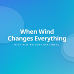 Balcony Gardening Wind Effects - High-rise plants facing wind mechanics