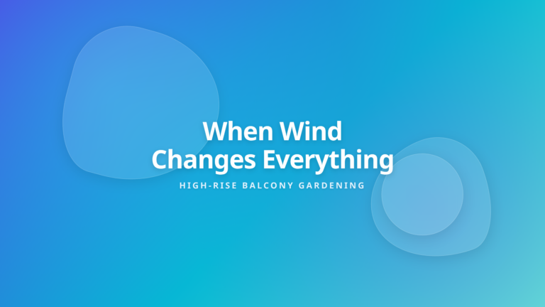 Balcony Gardening Wind Effects - High-rise plants facing wind mechanics