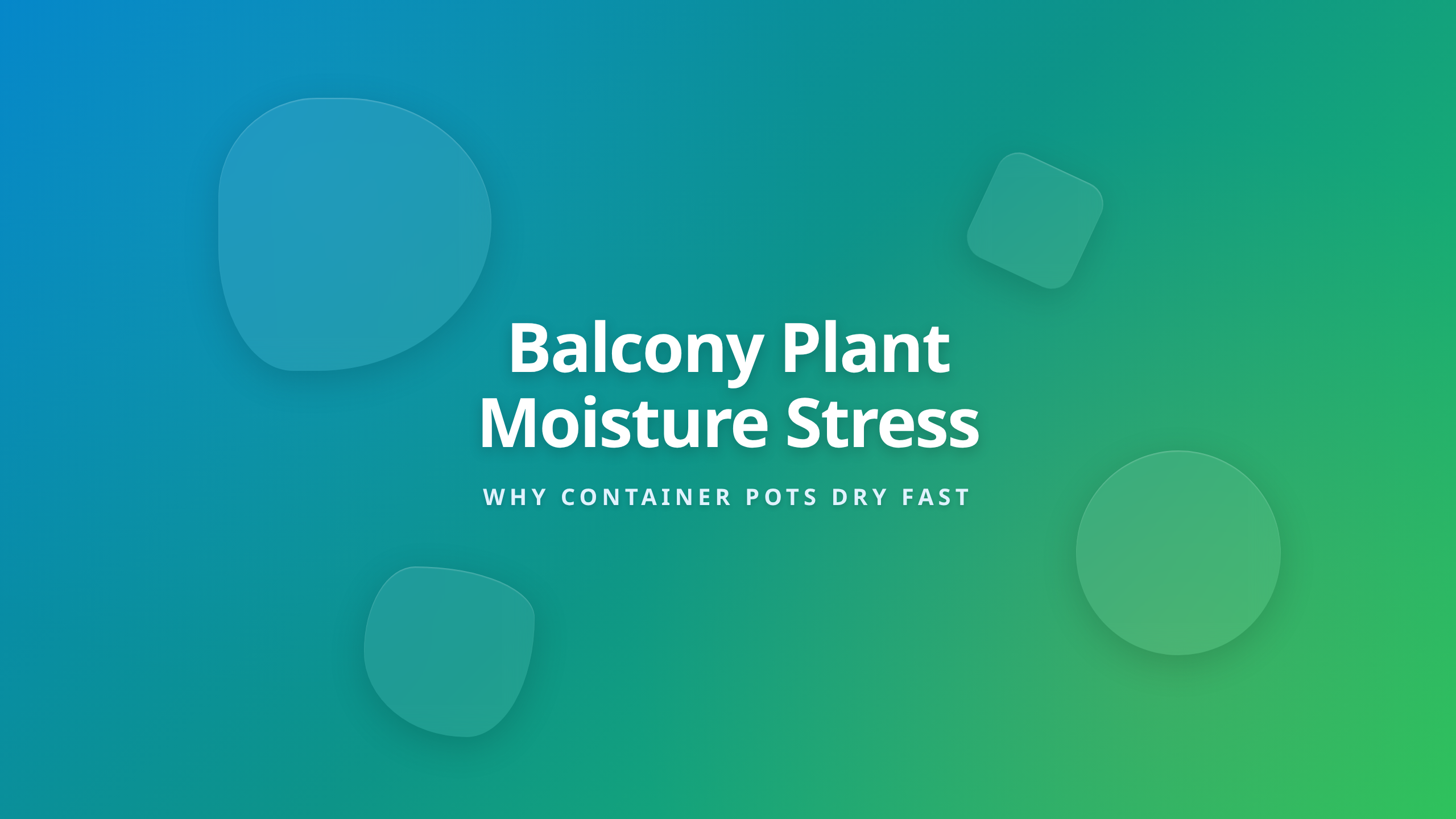 Balcony Plant Watering Guide - Why Containers Dry Out Faster Than In-Ground Gardens