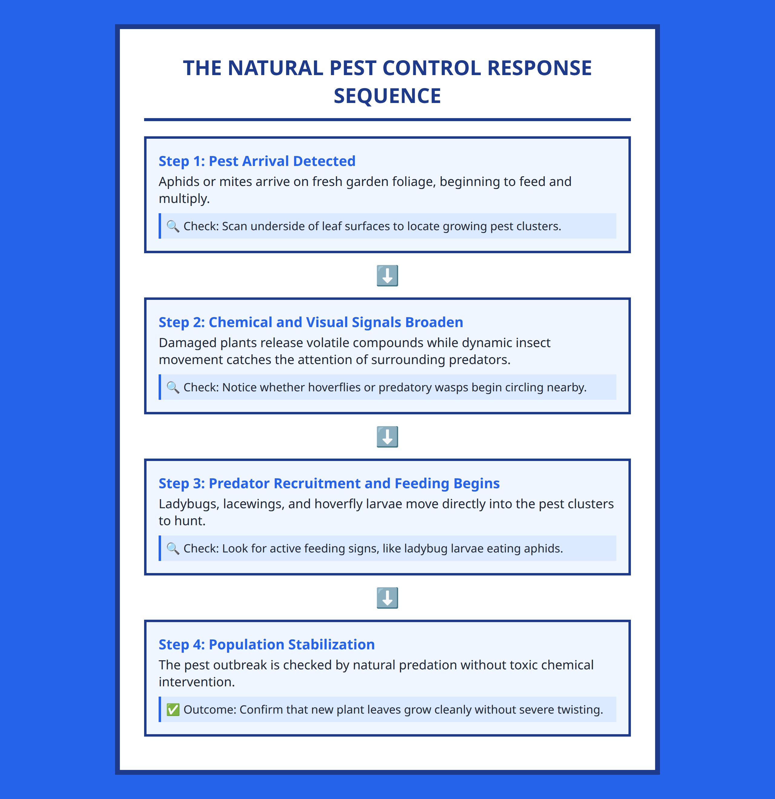 Flowchart demonstrating the natural garden response to a sudden pest population increase