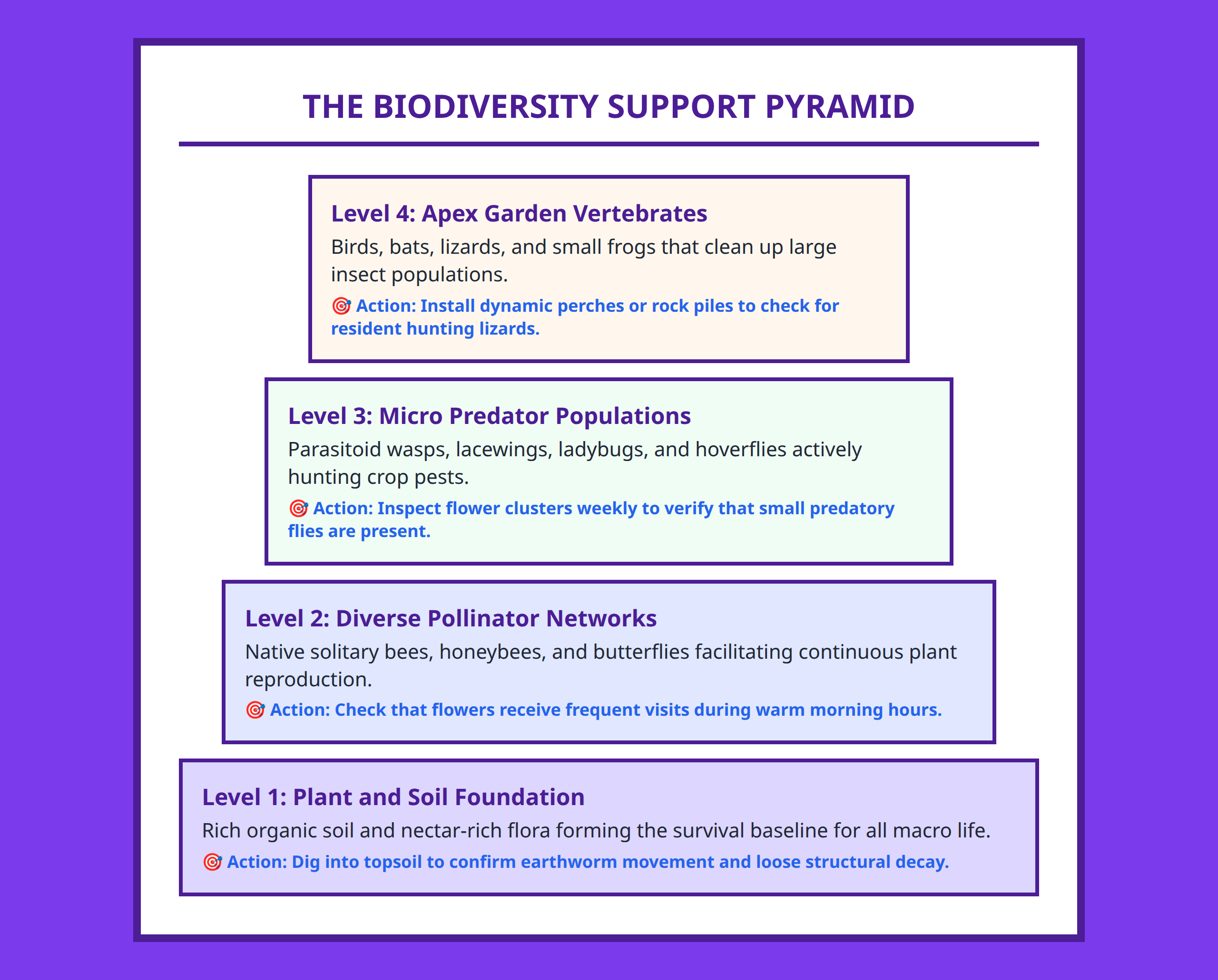 Pyramid framework showing the hierarchical levels of a healthy self-supporting garden ecosystem