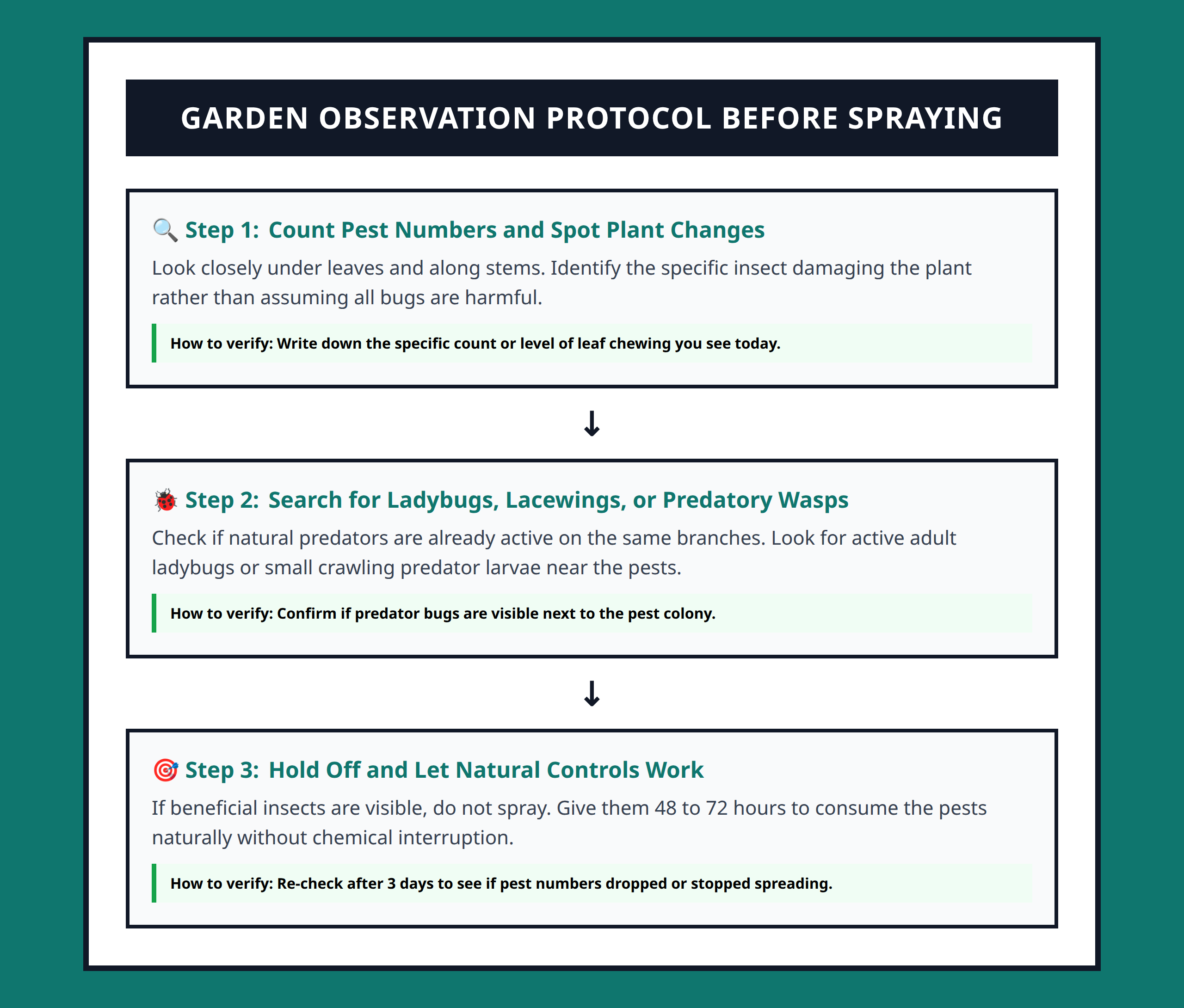 Flowchart showing garden observation steps before deciding to use sprays or actions.