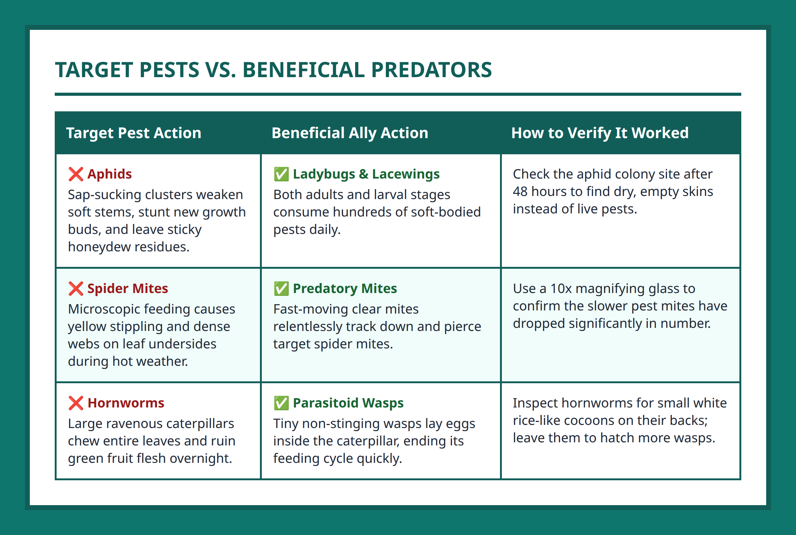 Comparison table comparing destructive pests with their natural beneficial insect predators