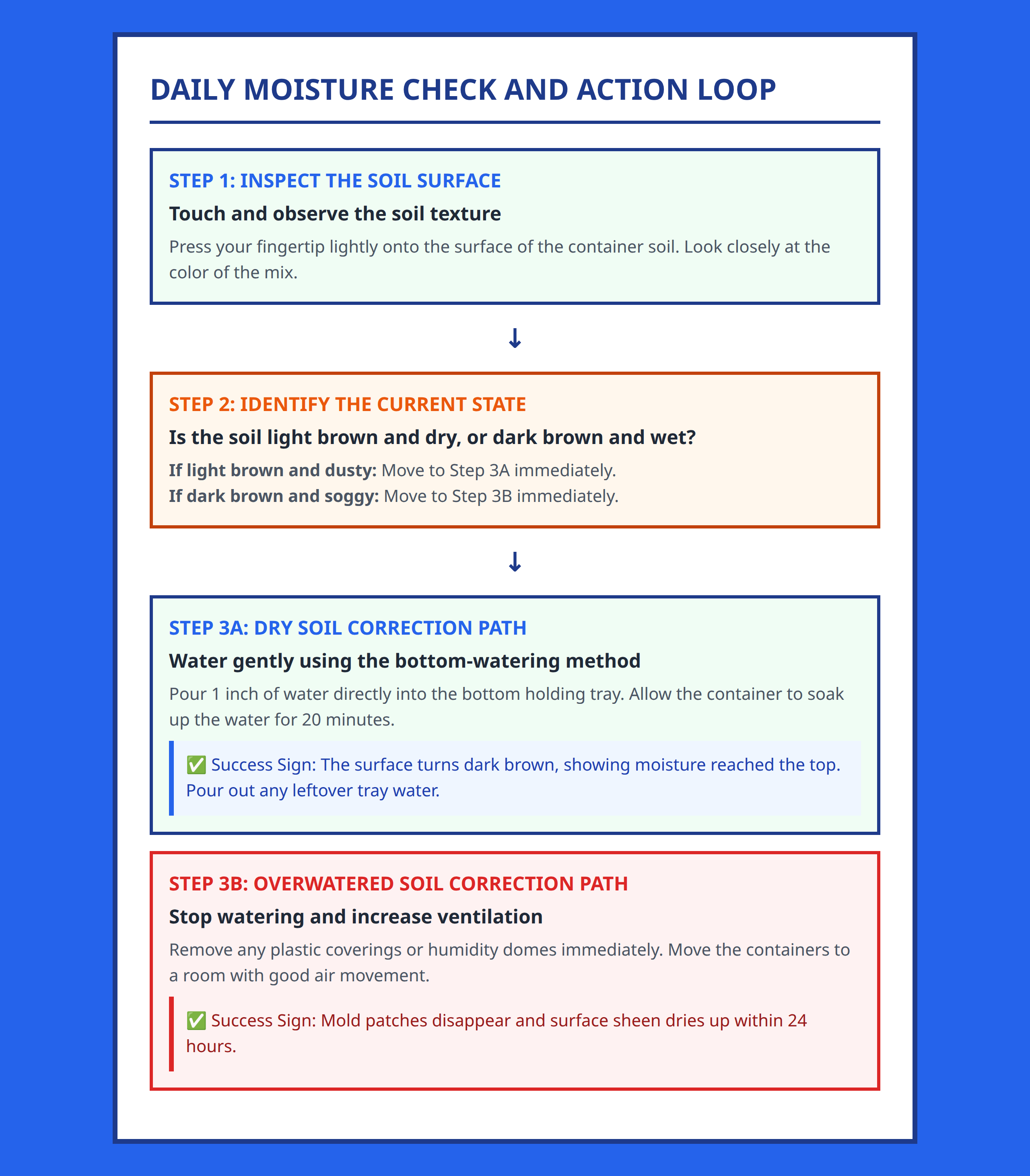Flowchart showing step by step daily water checking process for seeds