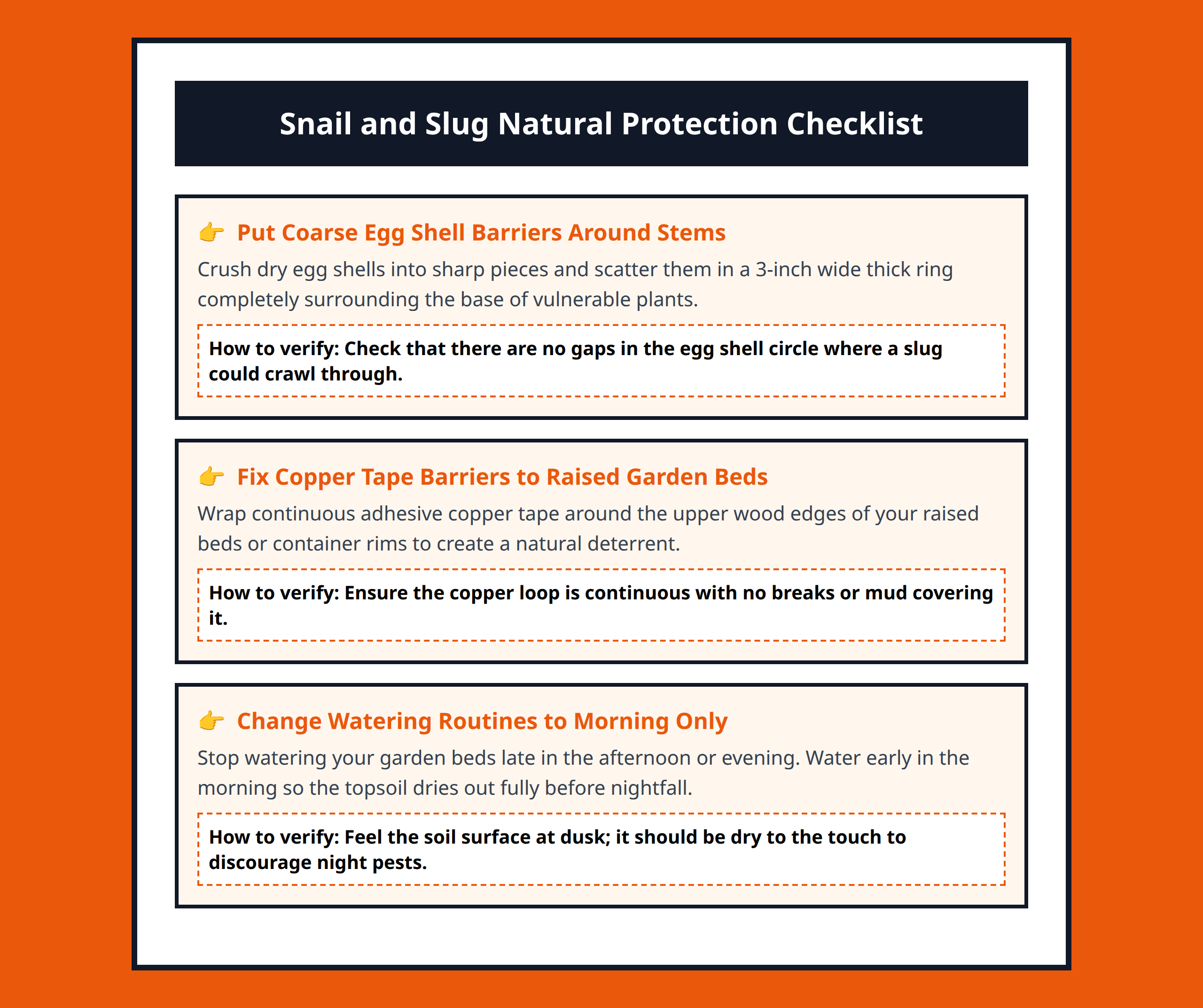 Checklist for preventing snail and slug damage using natural barriers.