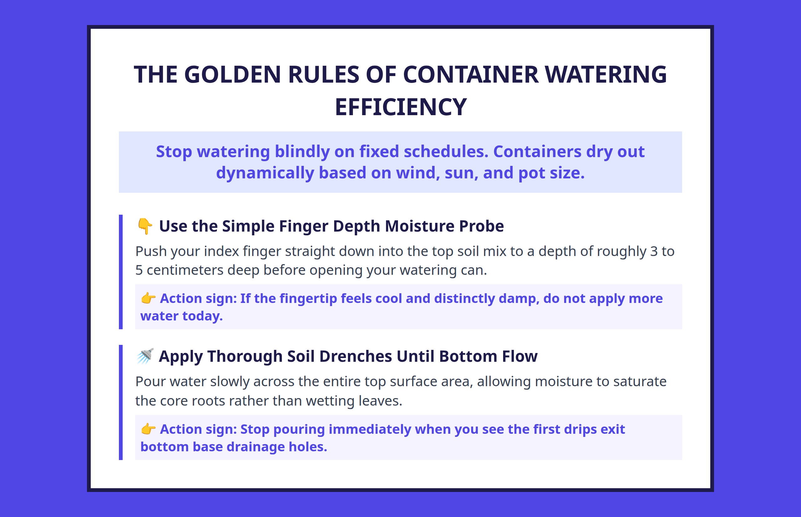 Mini poster summary showcasing accurate moisture checks and watering techniques for container crops