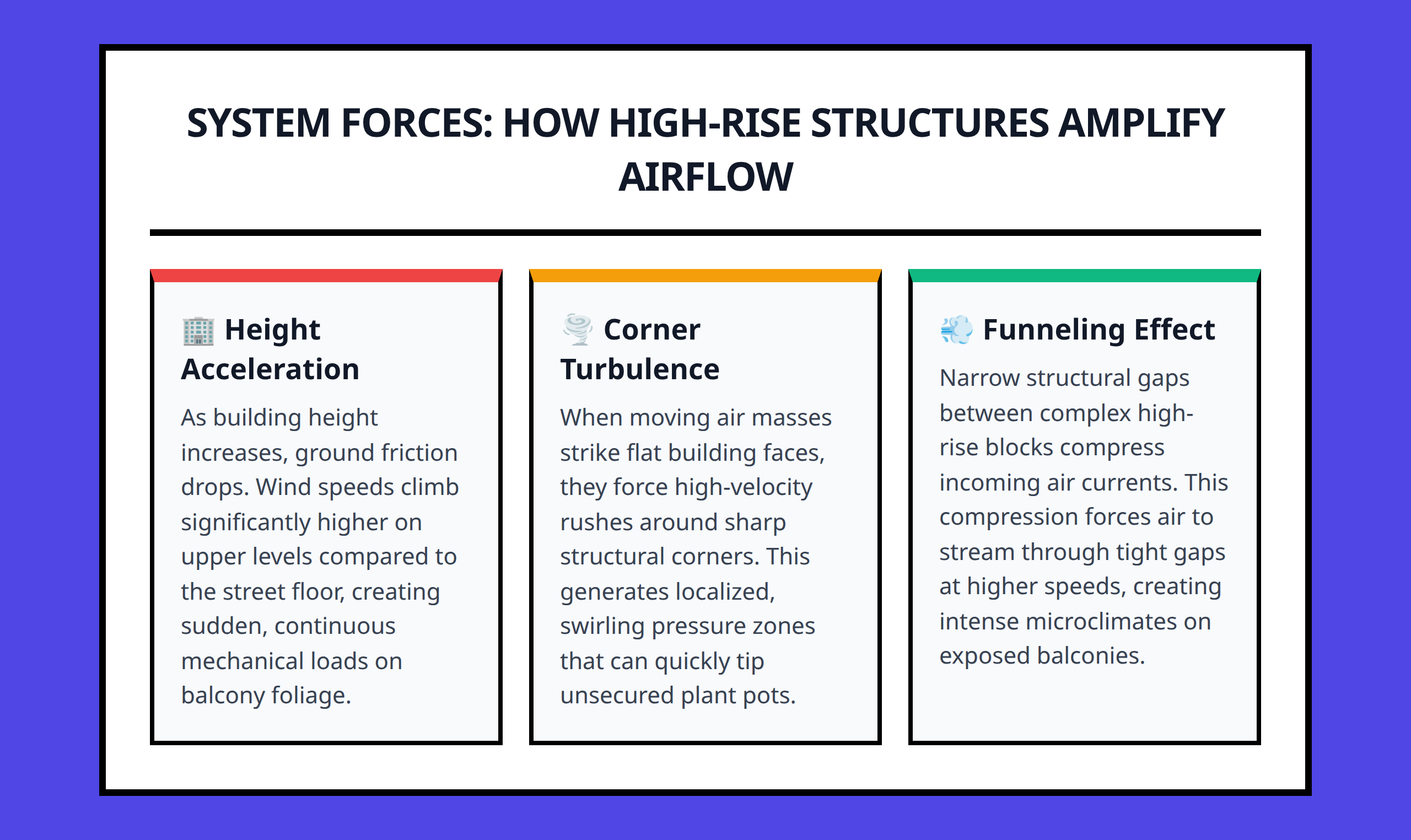 Infographic showing how building height and structure intensify wind forces on balcony plants.